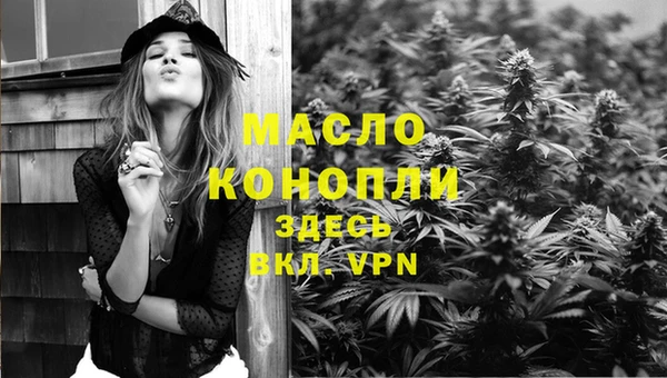дмт Дмитровск