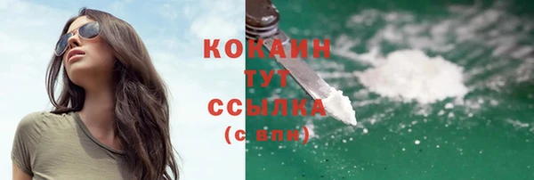 экстази Дмитриев