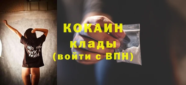 экстази Дмитриев