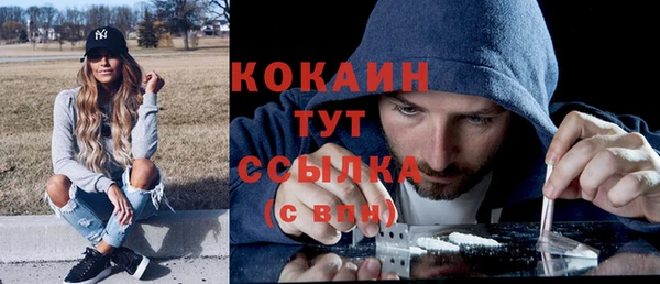 дмт Дмитровск