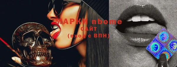 дмт Дмитровск