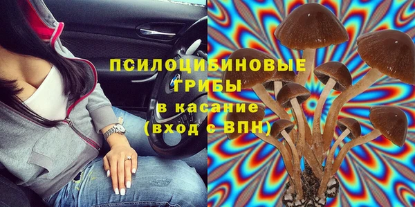 дмт Дмитровск